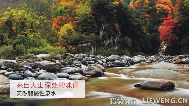 猎翁山泉-来自大山深处的味道-天然弱碱性泉水