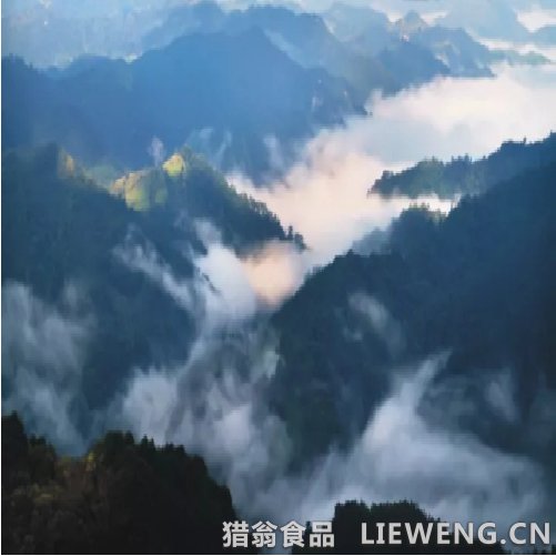 猎翁山泉栖息地