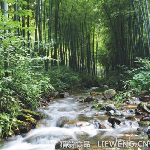 猎翁山泉栖息地