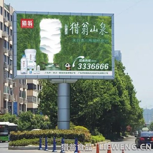 苴国路老鹰嘴桥头显示屏-猎翁山泉